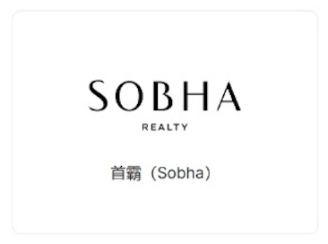 Developer